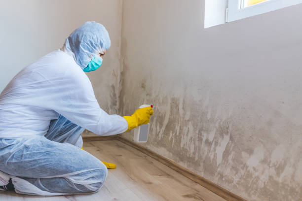 Licensed Crawl Space Mold Removal service in Baldwin, FL - WQB Mold Removal