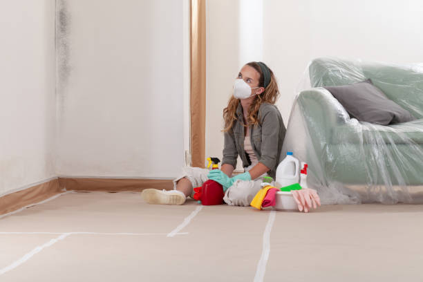 Reliable Crawl Space Mold Removal contractor in Baldwin, FL by WQB Mold Removal
